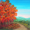 Autumn Trail